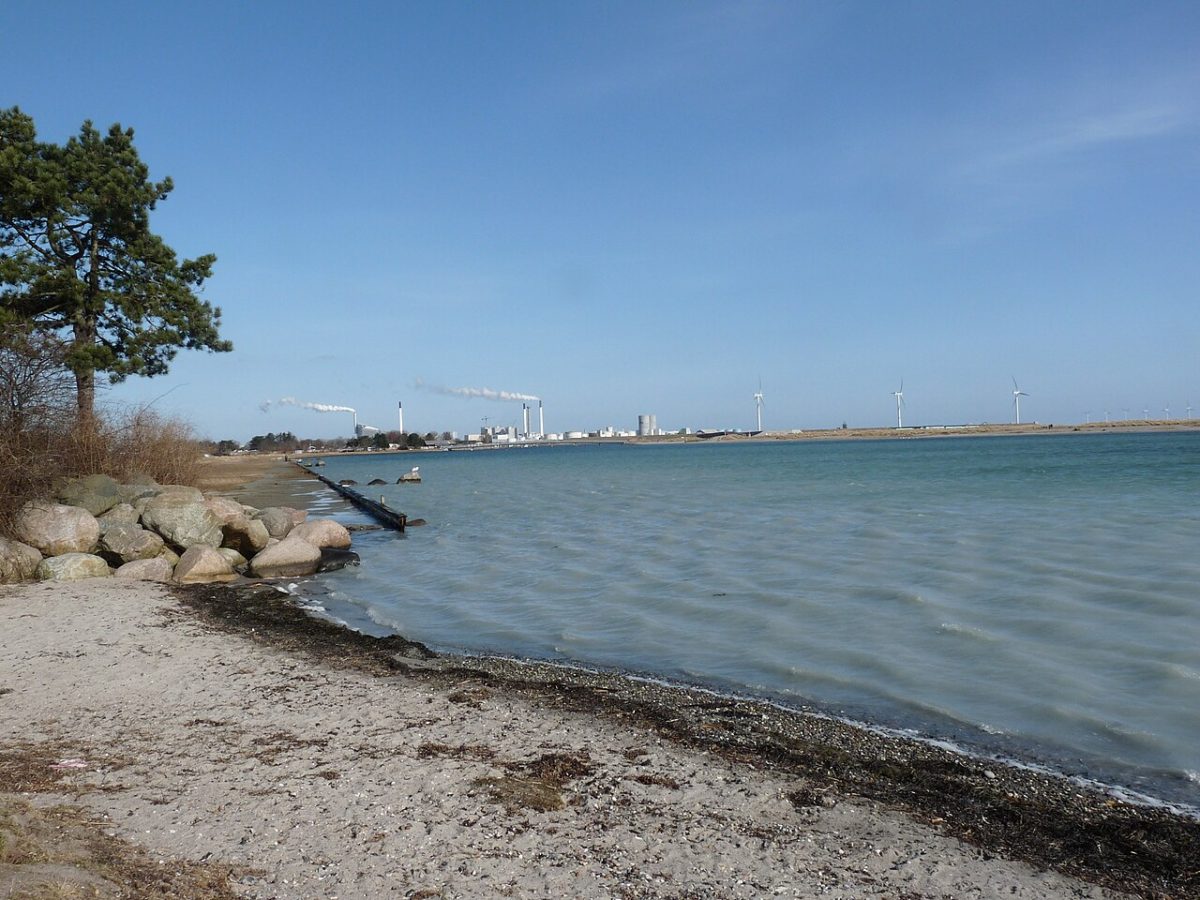 Amager Strandpark, Lagunen
