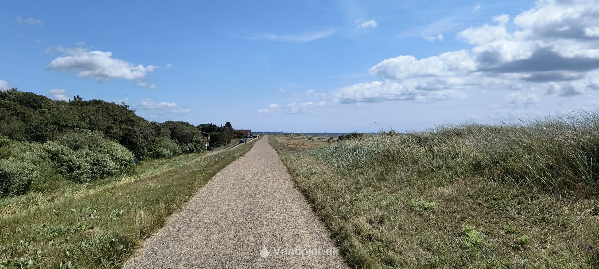 Hummingen strand